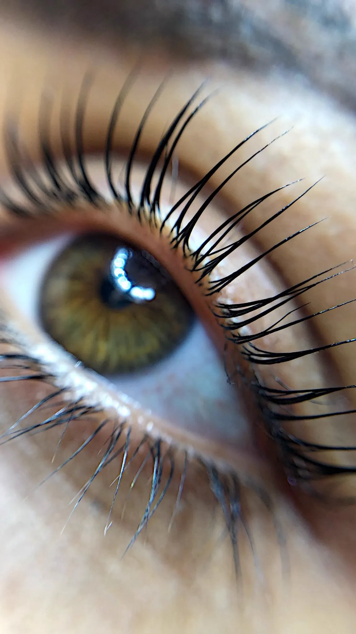 Lash Lifting Ergebnis