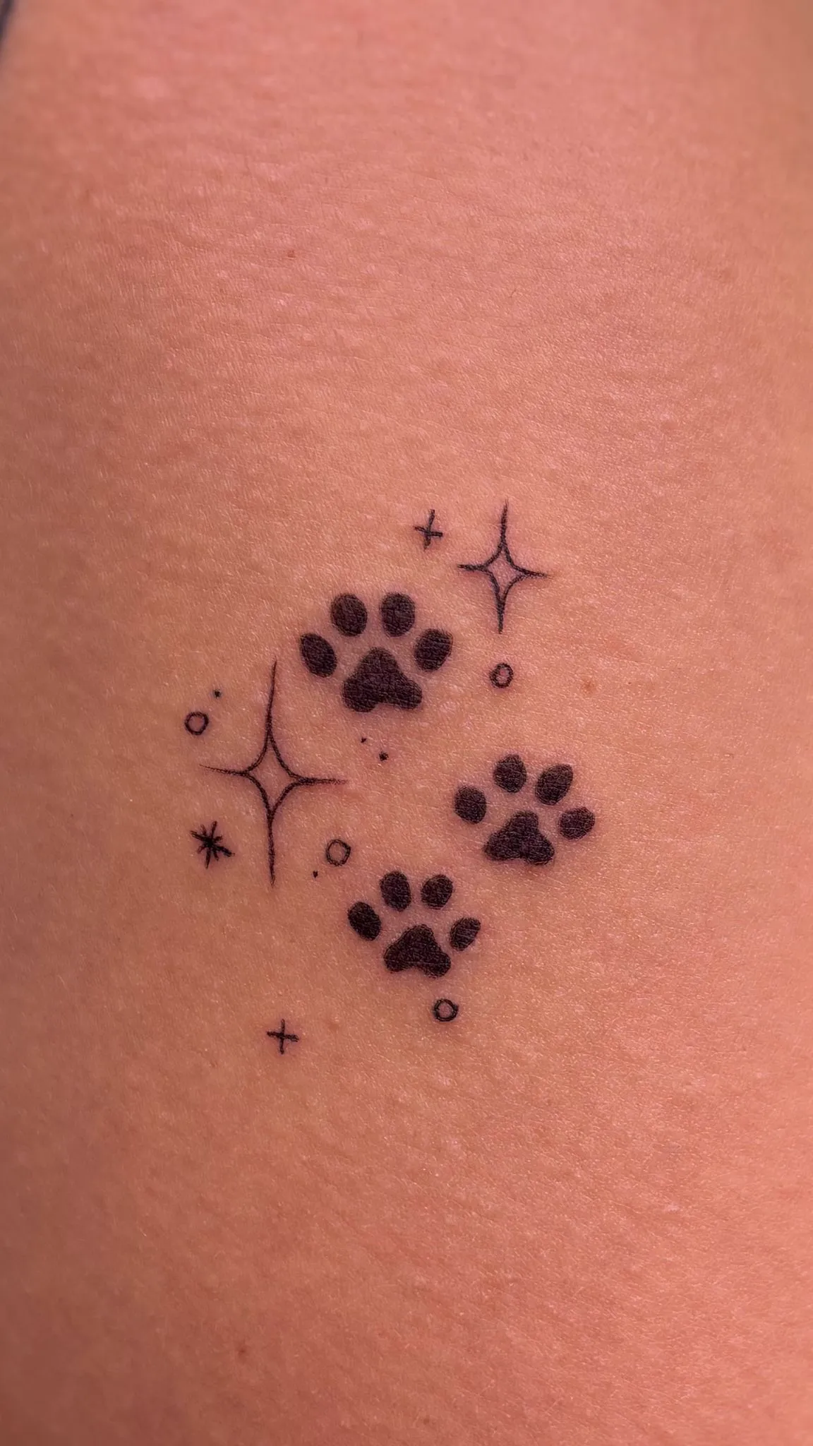 Pfoten mit Sternen Tattoo